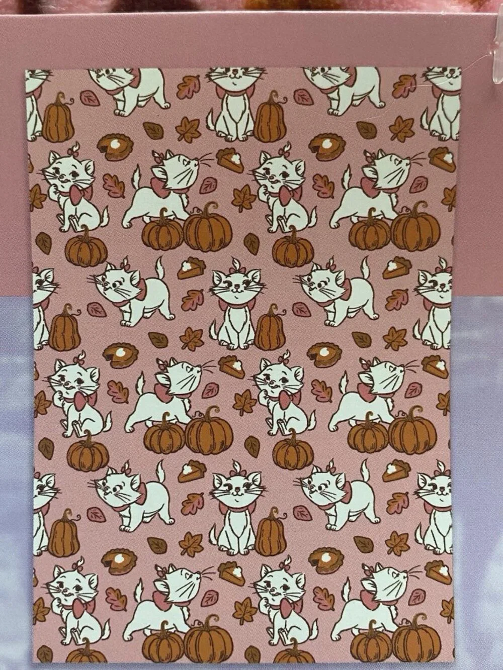 Disney Aristocats Marie Autumn Fall Pumpkins Soft Throw Blanket 50